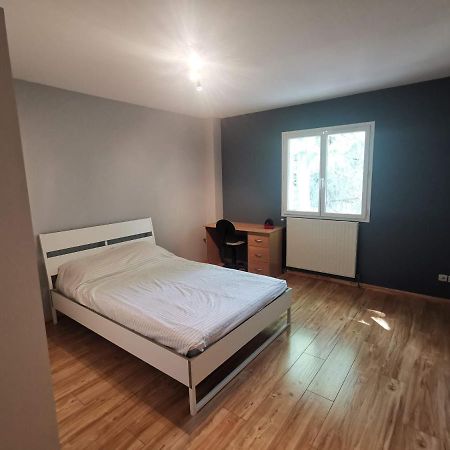 Chambre D'Hote Dans Une Maison Avec Parking Privee Saint-Etienne  Extérieur photo